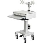 ROLINE Wagen für 2 LCD displays / keyboard / mouse / PC / notebook (17.03.1175)