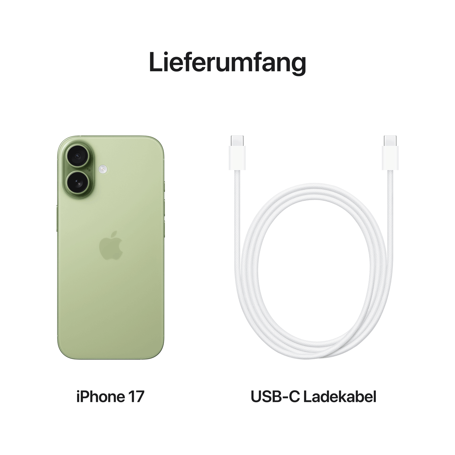 Apple iPhone 17 RAM 256 GB Salbei