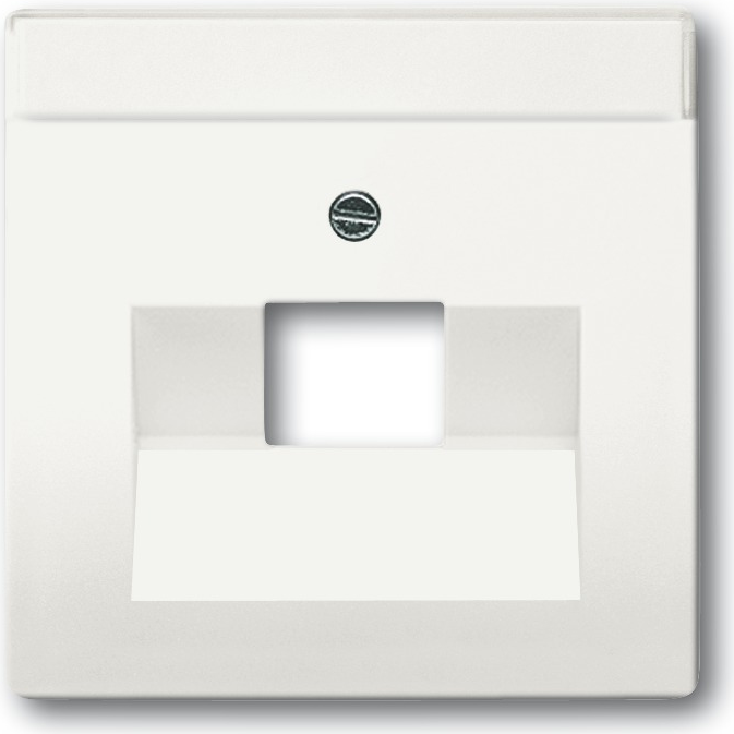 Busch Jaeger 1710-0-3889 Wandplatte/Schalterabdeckung Weiß (1710-0-3889)