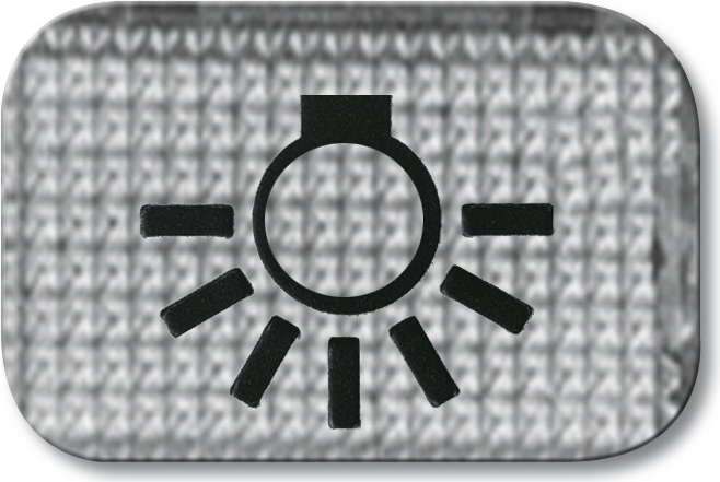 BUSCH-JAEGER Tastersymbol Licht 2145LI Duro 2000 2145LI (1714-0-0211)