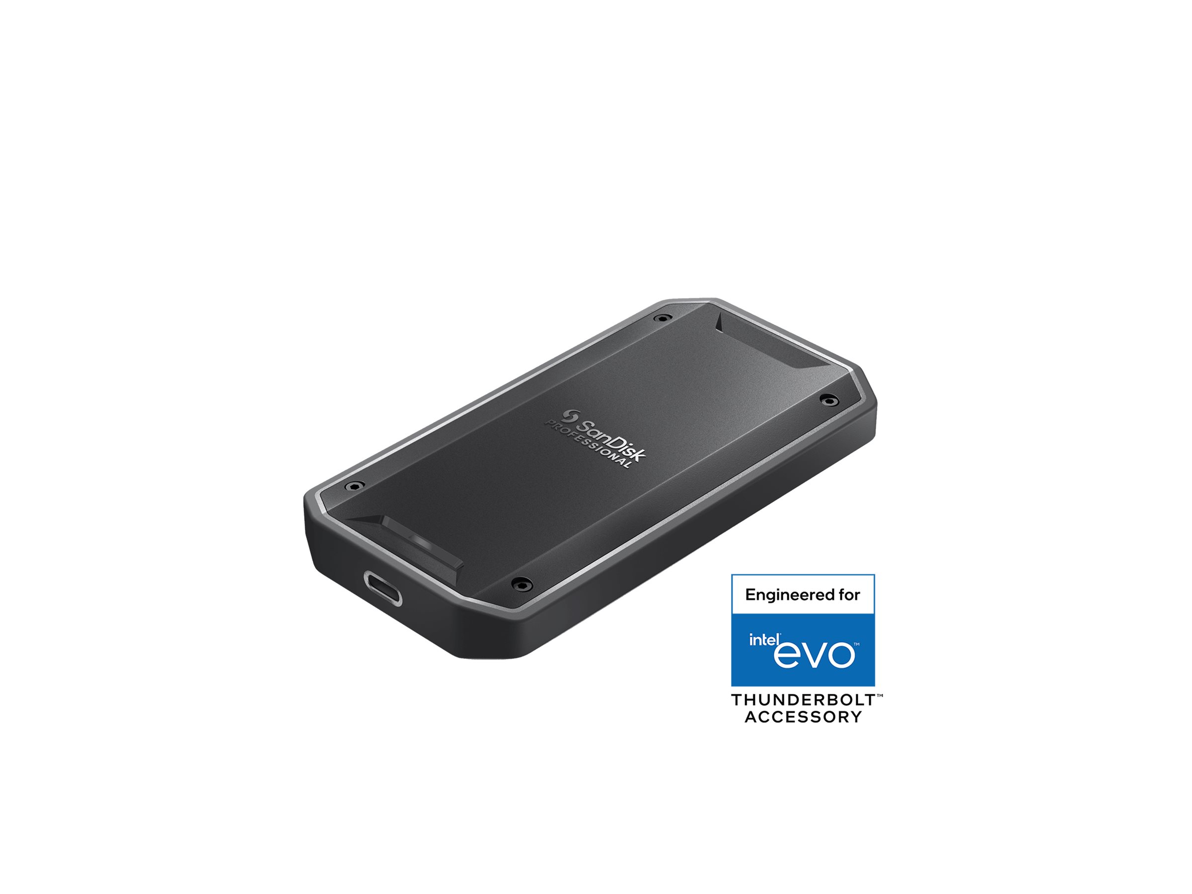 SanDisk Professional PRO-G40 2 TB SSD Schwarz