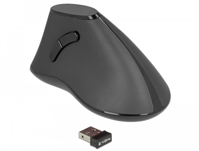 Delock Ergonomic Vertikale Maus Kabellos 2,4 GHz 5 Tasten Lautlos Schwarz