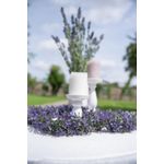 EUROPALMS Lavendelgirlande, künstlich, violett, 180cm (82503727)