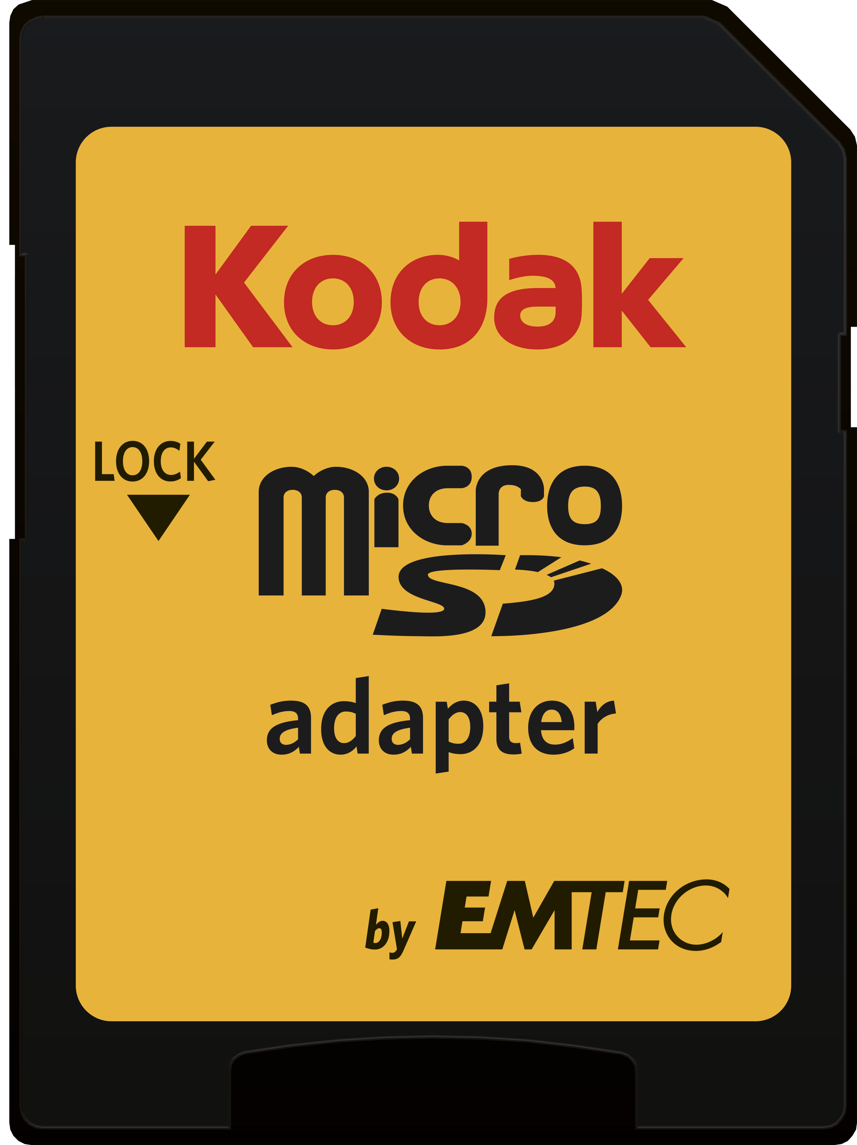 Emtec Kodak Flash-Speicherkarte (microSDXC-an-SD-Adapter inbegriffen) (EKMSDM128GXC10K)