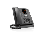 Gigaset PRO Maxwell C (S30853-H4007-R101)