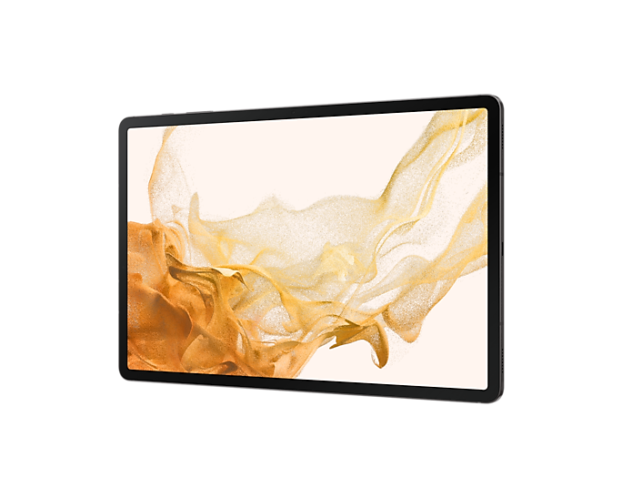 Samsung Galaxy Tab S8+ SM-X800N 256 GB 31,5 cm (12.4" ) Qualcomm Snapdragon 8 GB Graphit (SM-X800NZABEUB)
