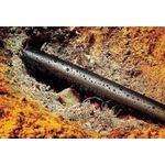 HELLERMANNTYTON Dickwandiger Schrumpfschlauch mit Innenkleber Ø vor/nach Schrumpfung: 13 mm/4 mm Schrumpfrate HA47: (321-50130)