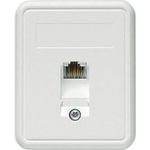 Aufputz-Steckdose 1xRJ45 ungeschirmt, Cat. 5e (A0174)