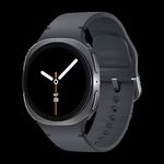 Samsung L320 GALAXY WATCH8 40MM BT GRAPHITE (SM-L320NDAAEUB)