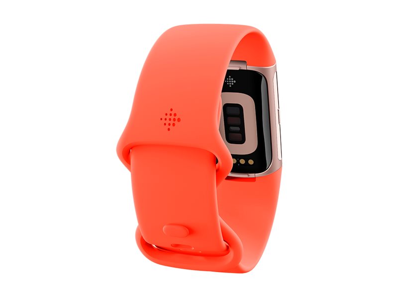 Fitbit Charge 6 Champagne Gold Aluminium Korallefarben