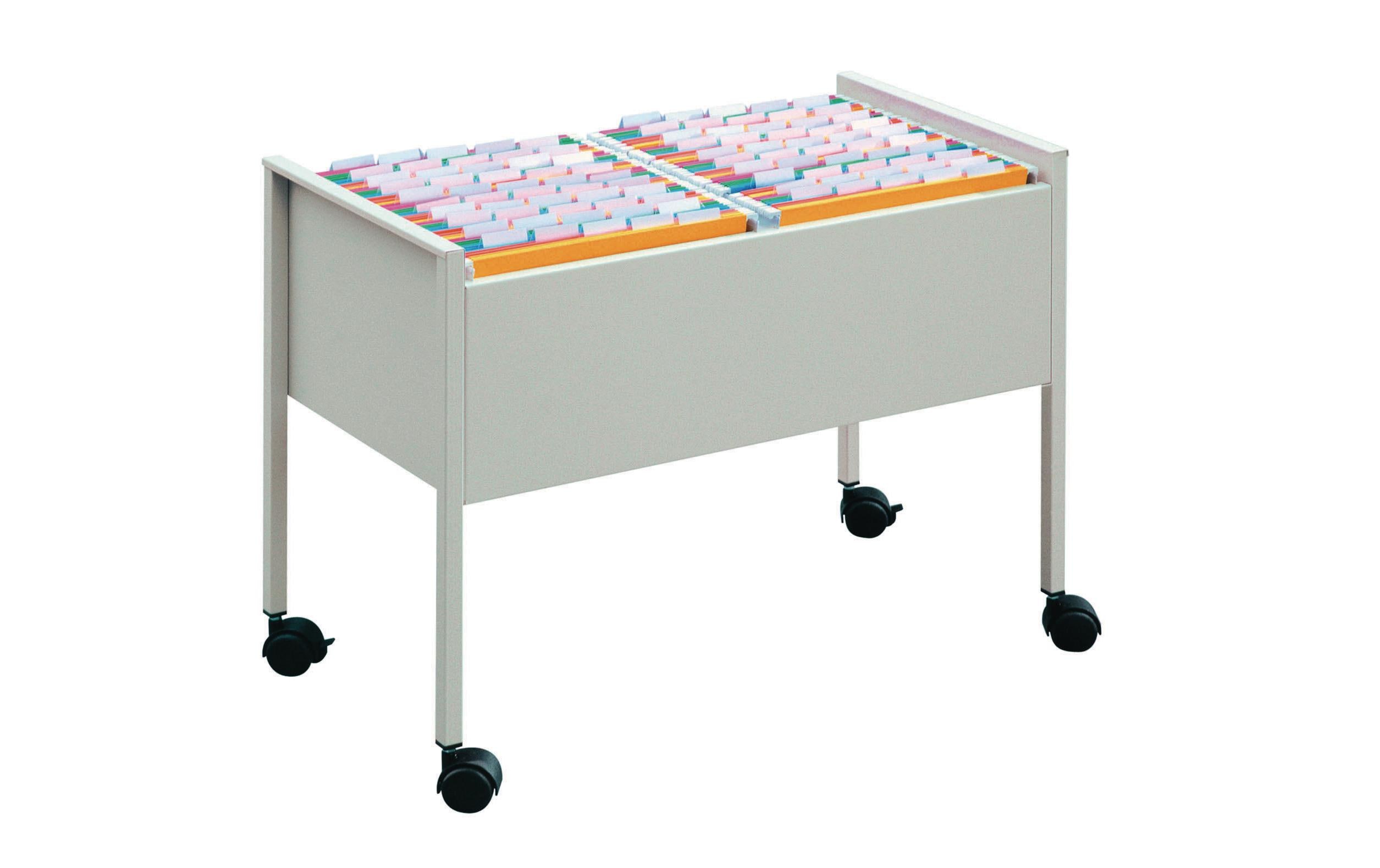 DURABLE ECONOMY DUO 100 Hängemappenwagen A4 Grau