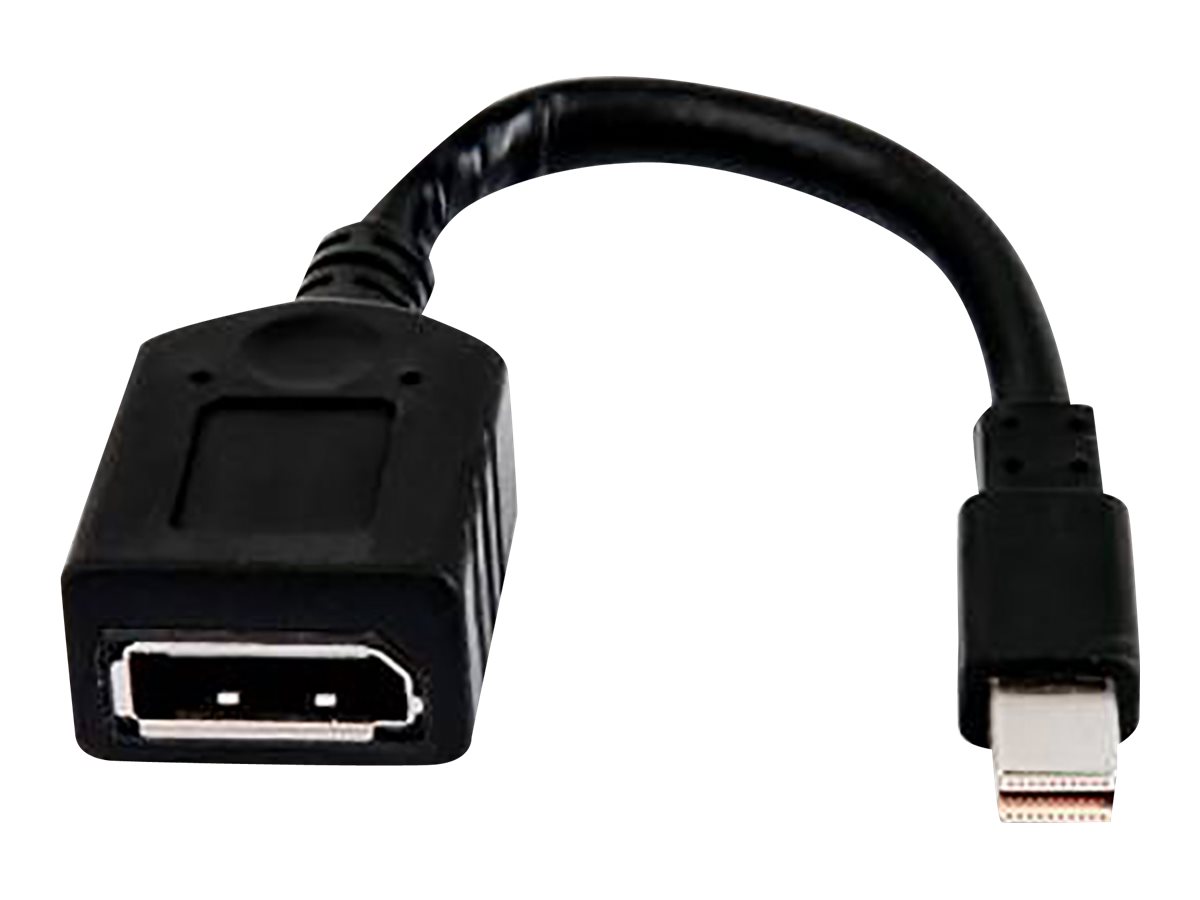 HP Single miniDP-an-DP-Adapterkabel Schwarz