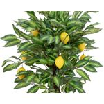 EUROPALMS Zitronenbaum, Kunstpflanze, 150cm (82507815)