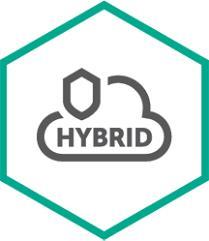 Kaspersky Hybrid Cloud Security Server - Erneuerung der Abonnement-Lizenz (3 Jahre) - 1 virtueller Server - Volumen - Stufe Q (50-99) - Europa (KL4255XAQTR)