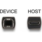 Delock USB-Adapter USB-C (W) zu USB Typ B (M) (65839)