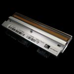 Zebra 300 dpi Druckkopf (P1112750-013)