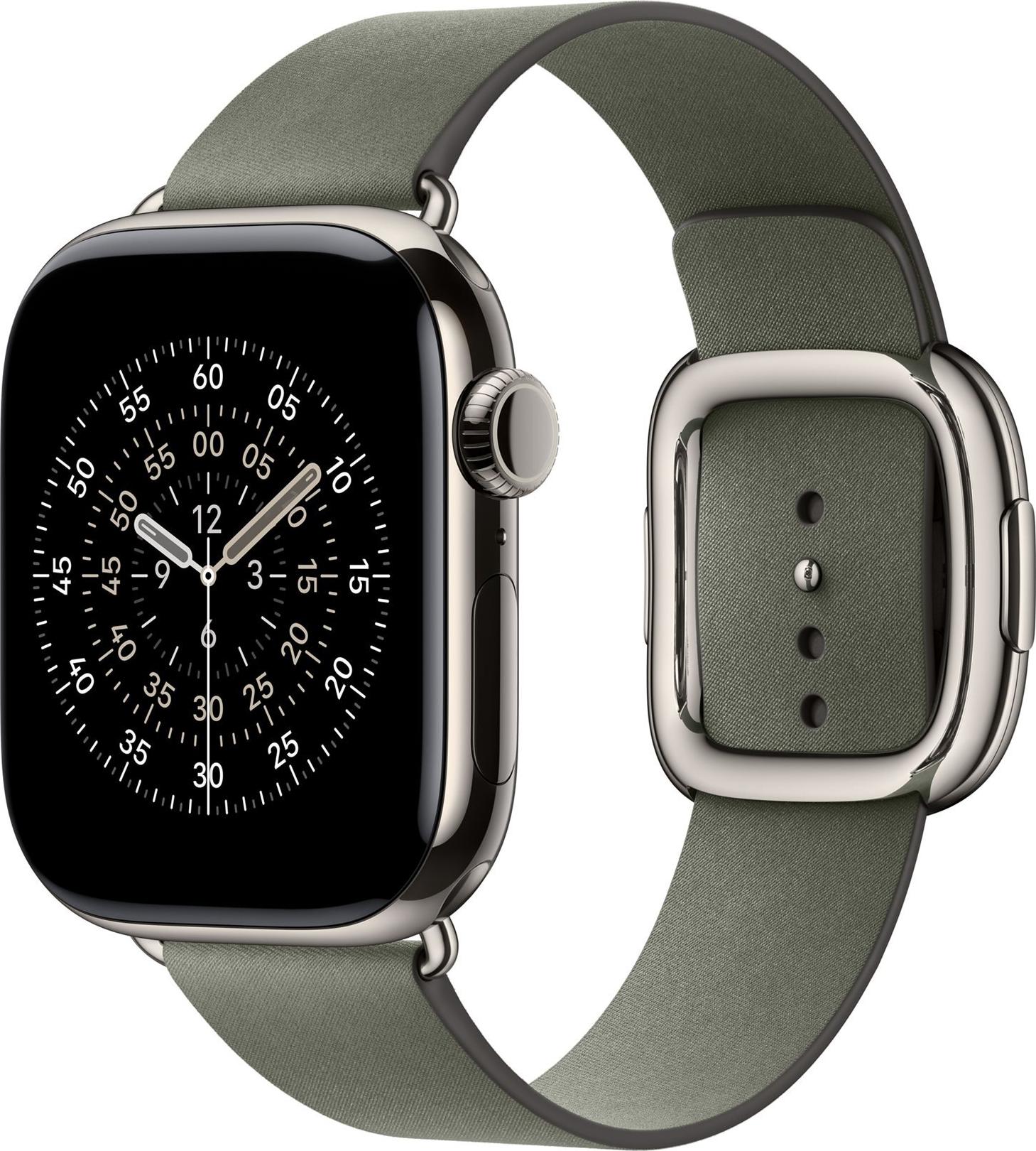 Apple 42mm Sage Gray Modern Buckle - Small (MGG94ZM/A)