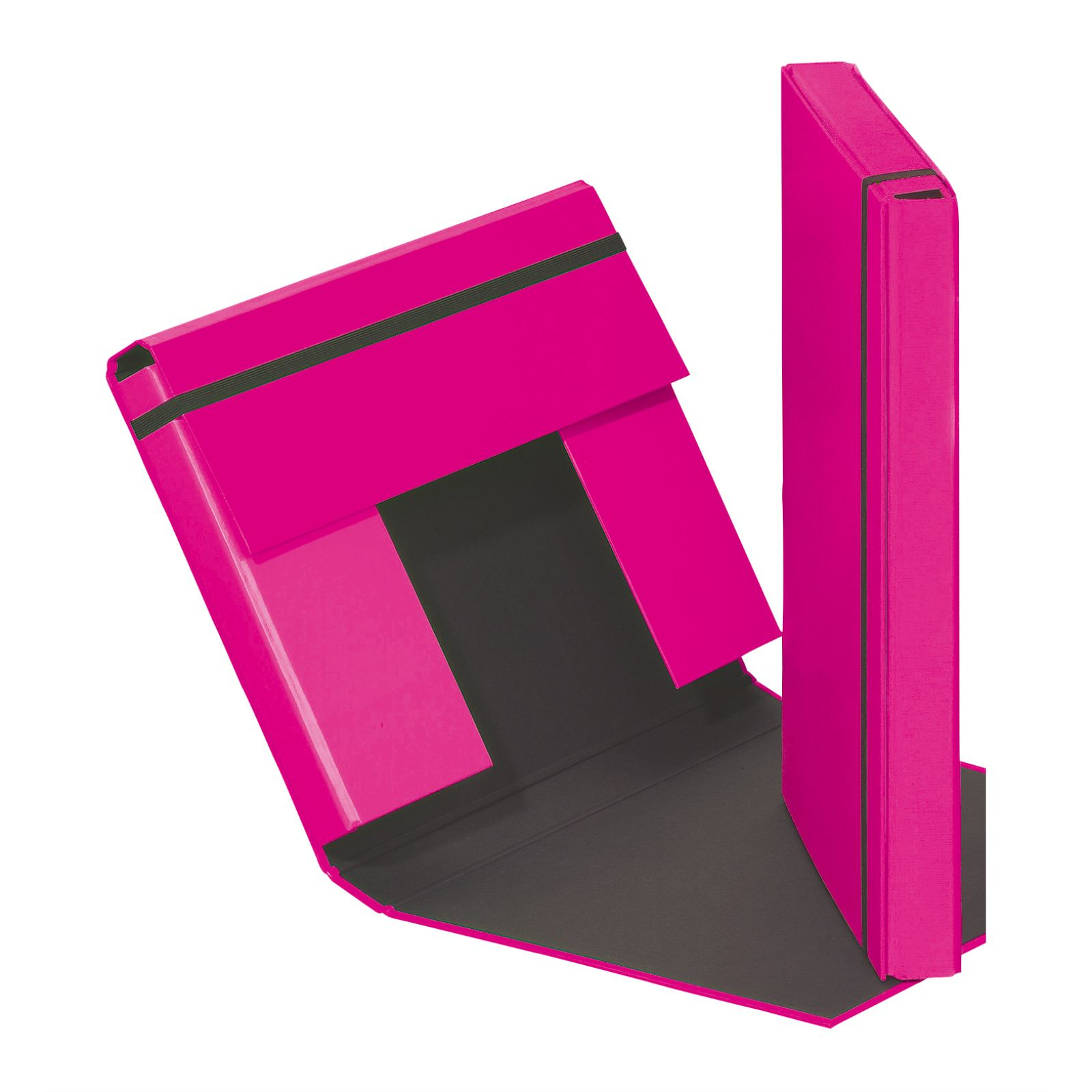 Pagna Trend Colours Heftbox DIN A4 Raspberry