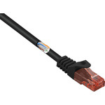 Renkforce RF-5042664 RJ45 Netzwerkkabel, Patchkabel CAT 6 U/UTP 0.15 m Schwarz mit Rastnasenschutz, Halogenfrei 1 St. (RF-5042664)