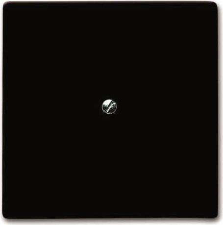 Busch-Jaeger 2138-31 (2CKA001710A3799)