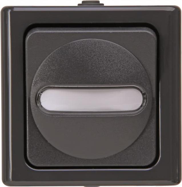 Wipptaster anth 1S AP BlueElectric IP44 Rückmeld mit Beleuchtung glz (560815003)