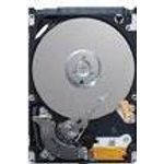 Seagate 6.3cm (2.5") 80GB ST980210A 5400 2mb (ST980210A)