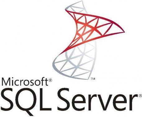 Microsoft OPEN Value Government SQL Svr Std Core Int Open Value Government, Staffel D Zusatzprodukt License/Software Assurance im ersten Jahr für ein Jahr Core Lic (7NQ-00126)