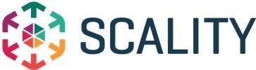 HP ENTERPRISE Scality Professional Installation Service - Installation - für Scality ARTESCA - ESD (