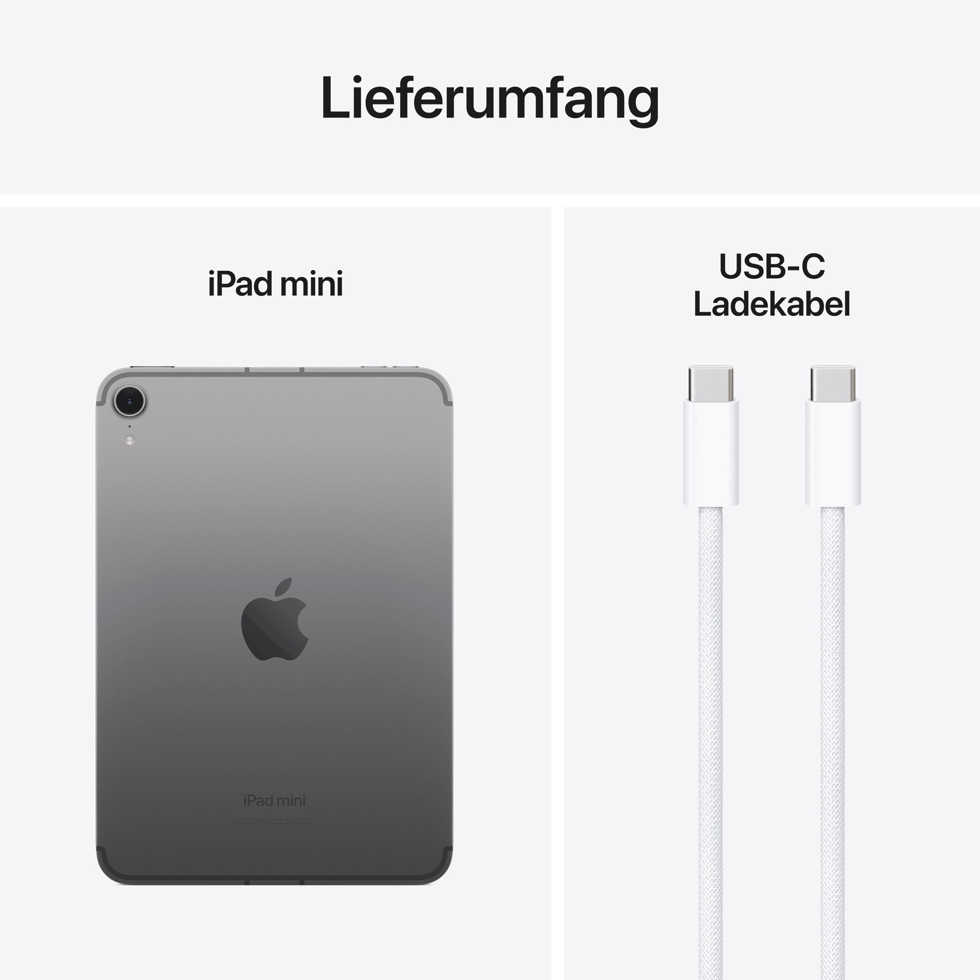 Apple iPad mini (A17 Pro) Wi-Fi + Cellular 256 GB Space Grau
