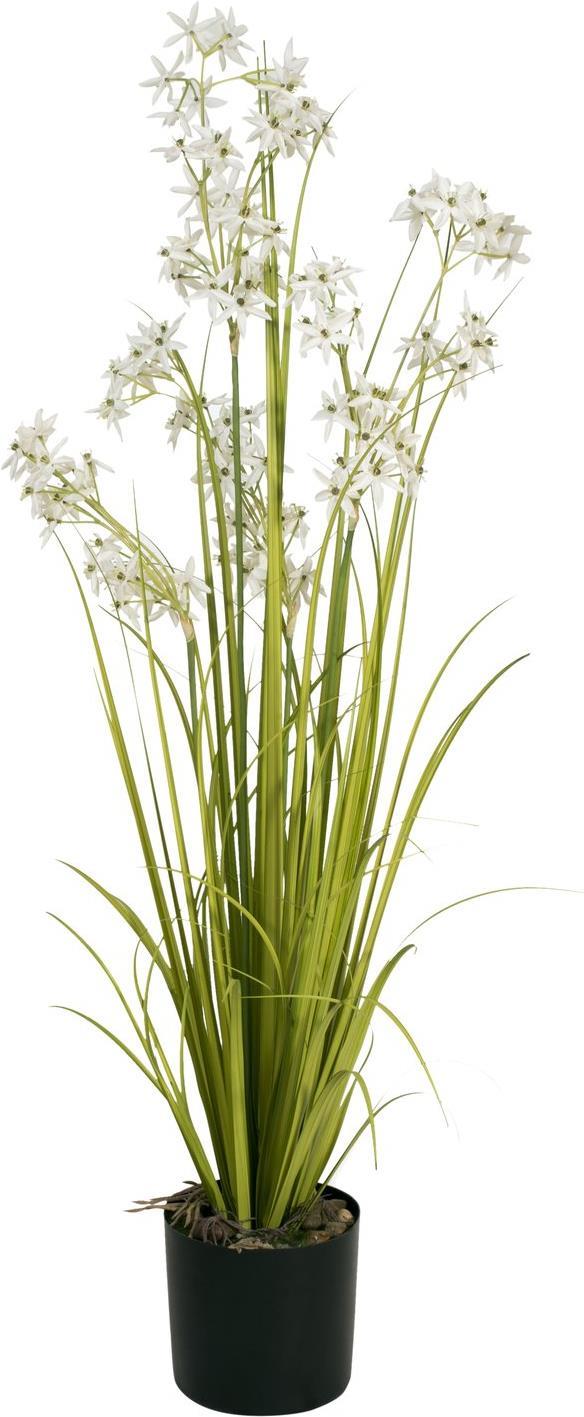 EUROPALMS Jasmingras, Kunstpflanze, weiß, 130 cm (82600171)