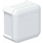 OBO Bettermann 2007223 Abzweigdose (L x B) 90 mm x 90 mm (2007223)