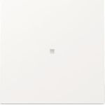 GIRA Wippe 329070 KF FL RW (329070)