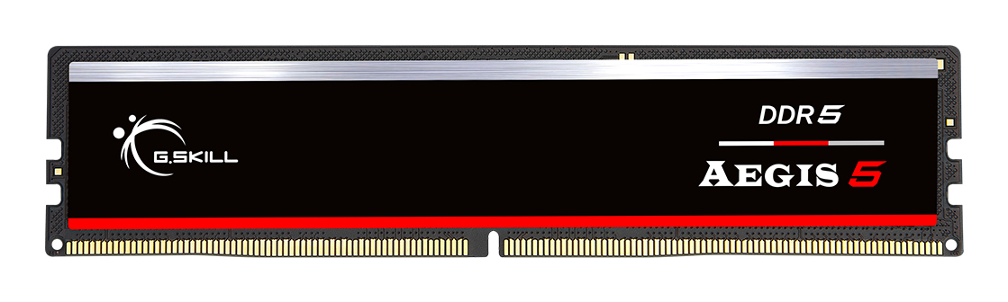 G.Skill AEGIS 5 F5-6000J3636F32GX1-IS 32 GB DDR5-6000 CL36 Speichermodul Schwarz