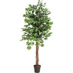 EUROPALMS Ficus-Benjamini Multi-Stamm, Kunstpflanze, 150cm (82506125)