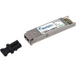 BlueOptics AA1403005-E5-NT Netzwerk-Transceiver-Modul Faseroptik 10000 Mbit/s XFP 850 nm (AA1403005-E5-NT-BO)
