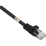 Renkforce RF-5047434 RJ45 Netzwerkkabel Patchkabel CAT 5e U/UTP 0.50 m Schwarz mit - AWG: 26 · Caratteristiche cavi: con protezione · Cavo adatto per: Rete · Colore: Nero · Forma del cavo: rotondo · Lunghezza cavo: 0.50 m · Materiale conduttore interno: CCA · Modello cavo: Cavo · Modello spina: dritto · Numero di connettori A: 1 x · Numero di connettori B: 1 x · Privo di alogeni: No · Schermatura (cavo di rete): U/UTP · Sostenibilità / Compatibilità ambientale: Imballaggio senza plastica · Specifica rete: CAT 5e · Tipo collegamento: RJ45 · Tipo connettore A (ingresso): Spina RJ45 · Tipo connettore B (uscita): Spina RJ45 (RF-5047434)