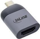 INLINE Videoadapter (64106H)