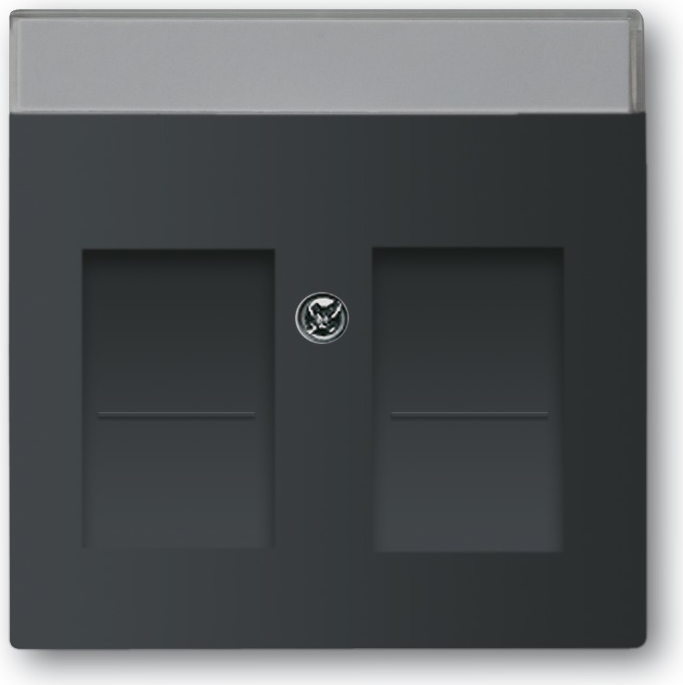 Busch Jaeger Zentralscheibe 1800-885 (1710-0-3910)