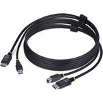 StarTech.com 6ft (1.8m) DisplayPort and USB 5Gbps KVM Cable - Tastatur- / Video- / Maus- (KVM-) (DU1226-KVM-CABLE)