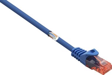 Renkforce RJ45 Netzwerkkabel Patchkabel CAT 6 U/UTP Blau mit Rastnasenschutz (RF-5047436)