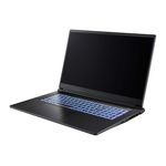 CAPTIVA Notebook Highend Gaming I98-029CH i7-13620H (17.3, 16GB, 1TB SSD, GeForce RTX 5070 8GB, w/o OS) (98029)