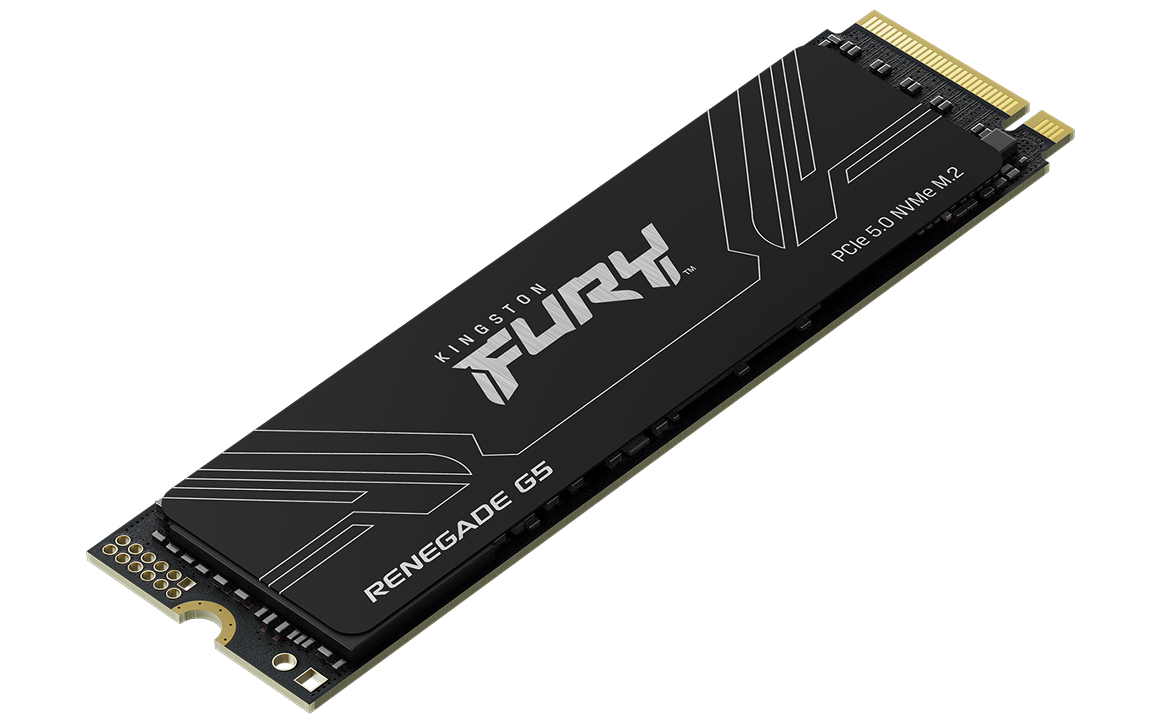 Kingston FURY Renegade G5 NVMe SSD 4 TB PCIe 5.0 M.2 2280 3D TLC