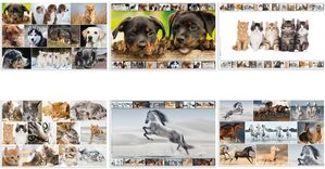 HERMA Schreibunterlage "Pferde" (B)550 x (H)350 mm Softtouch-Oberfläche, beidseitig bedruckt, aus stabilem - 1 Stück (19380)