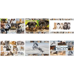 HERMA Schreibunterlage "Pferde" (B)550 x (H)350 mm Softtouch-Oberfläche, beidseitig bedruckt, aus stabilem - 1 Stück (19380)