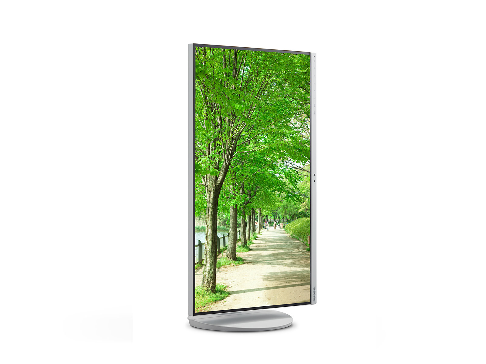 NEC MultiSync EA272QW Flachbildschirm (TFT/LCD) - TFT (60006080)