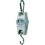 Kern Hängewaage HCB 200K500 Wägebereich (max.) 200 kg Ablesbarkeit 500 g (HCB 200K500)