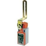 Panasonic Türschalter 400 V/AC 10 A Rollenschwenkhebel tastend SL5MZ61X11 IP66 1 St. (SL5MZ61X11)