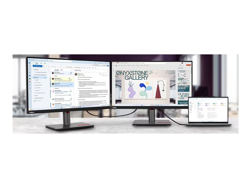 Lenovo ThinkVision P25i-30 24,5" Full HD IPS LED-Monitor Raven Black