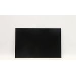 Lenovo DISPLAY AUO 14.0 WUXGA AG LCLW (5D10V82400)