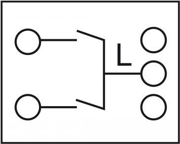 Delock Easy 45 Druckschalter (81363)